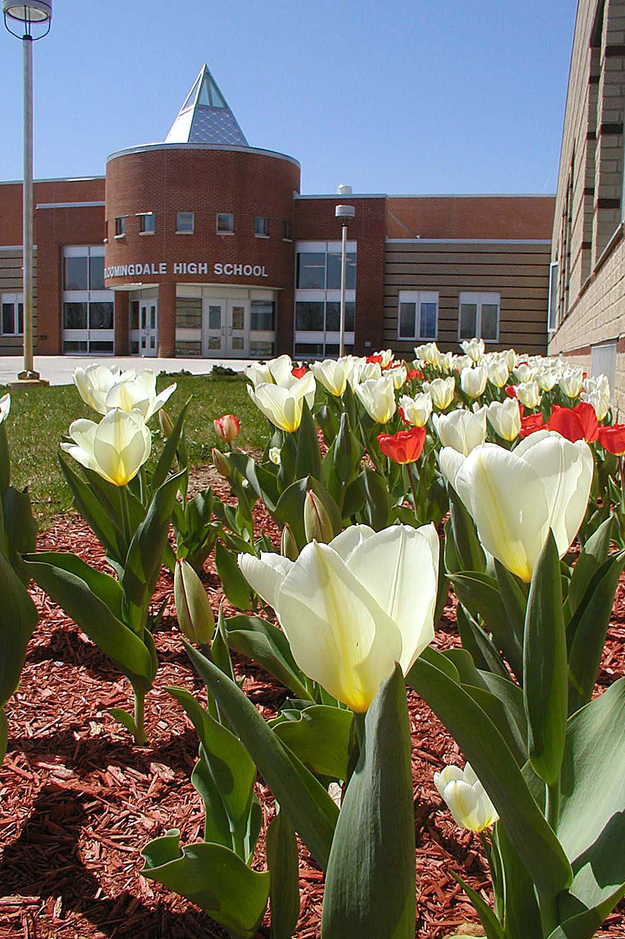 Wake Up Call Helps Rural School Bloom Mackinac Center